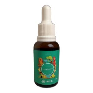 Floral de Bach Pet Indisciplinadinho 30ml - Fleur